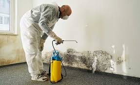 Mold Remediation for Rental Properties in Mesita, NM